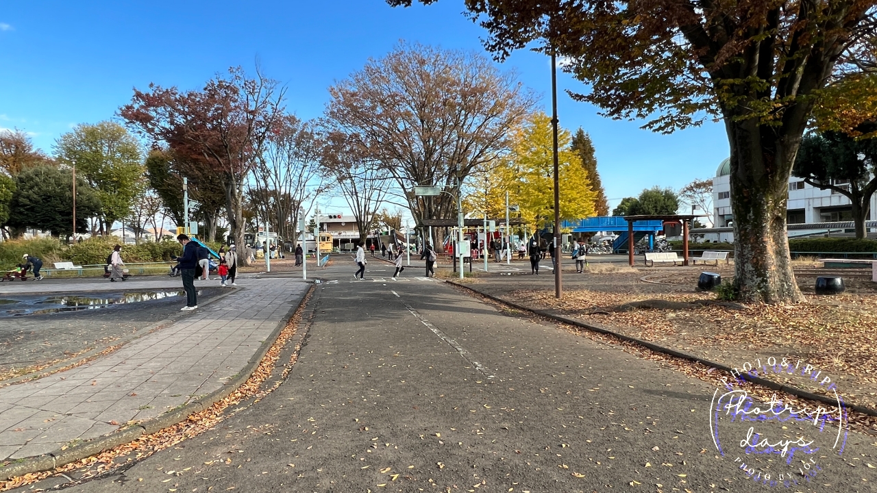 交通遊園の道路