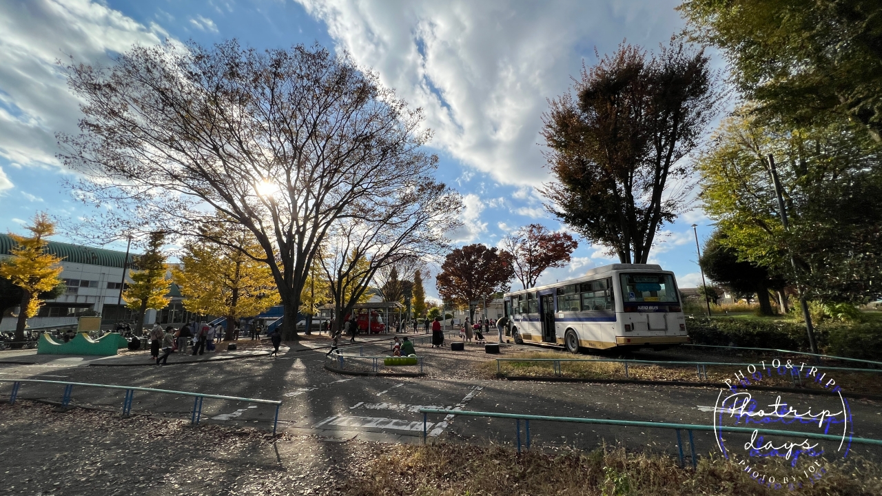 府中市郷土の森公園の交通遊園