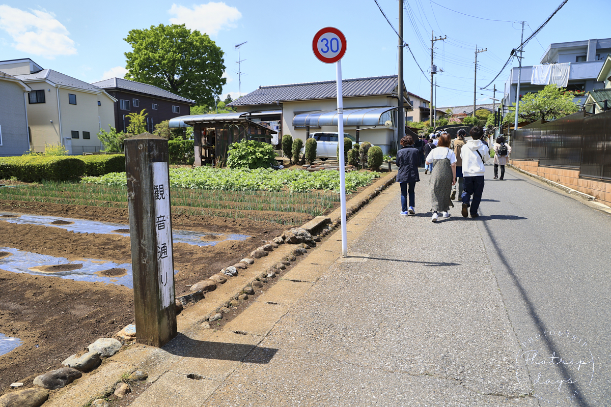 バス停を渡った先の小道