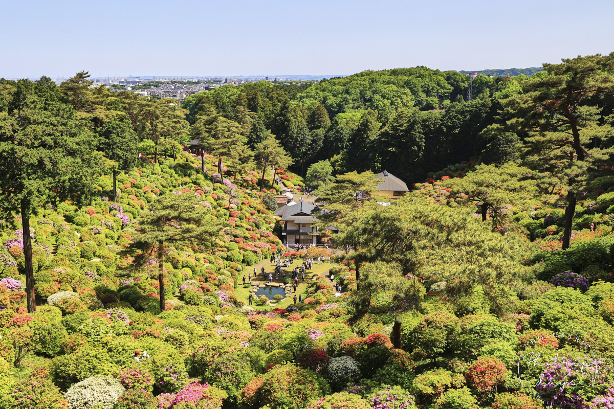 展望台から眺める塩船観音寺